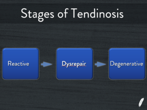 MSK Pathology Principles Essentials